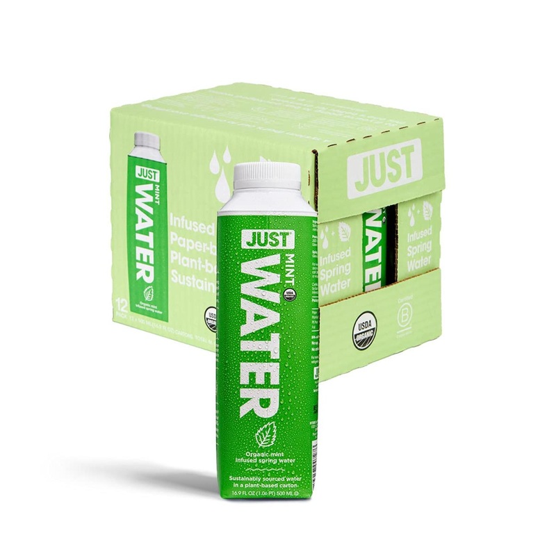 Just Water Infused Mint Flavored Spring Water | Boxed Bottled Water, Eco-Friendly & Sustainable | Low Calorie Beverage with Alkaline pH of 8.0 | No Artificial Flavors | 16.9 oz (Pack of 12)
