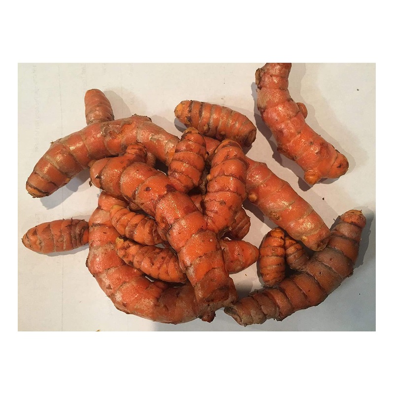 USDA Organic Turmeric Whole Raw Root – 1 Pound Pack – Pure and Natural