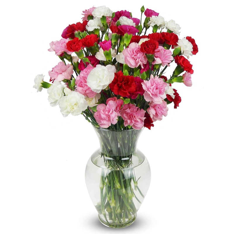 Rainbow Mini Carnations Bouquet – 20 Stems with Vase | Fresh Cut Flowers